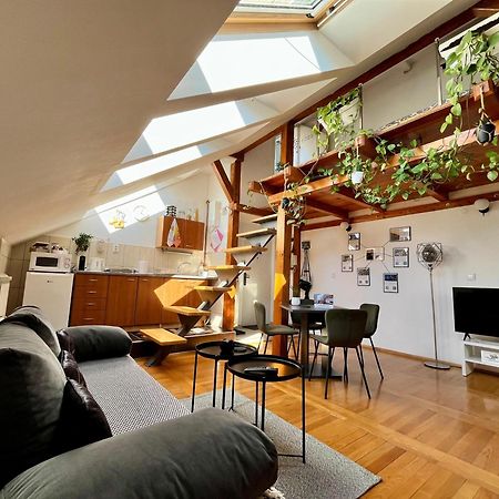 Captain Misha'S Place Bělehrad Exteriér fotografie