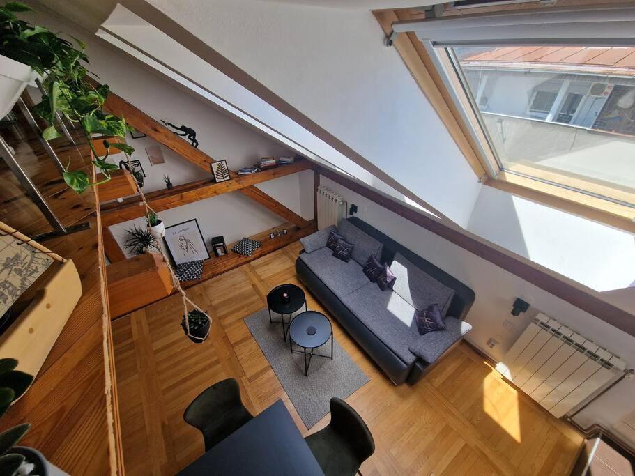 Captain Misha'S Place Bělehrad Exteriér fotografie
