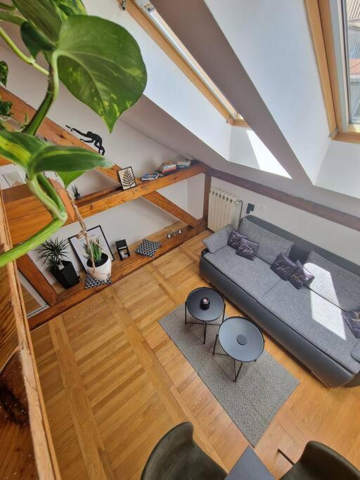 Captain Misha'S Place Bělehrad Exteriér fotografie