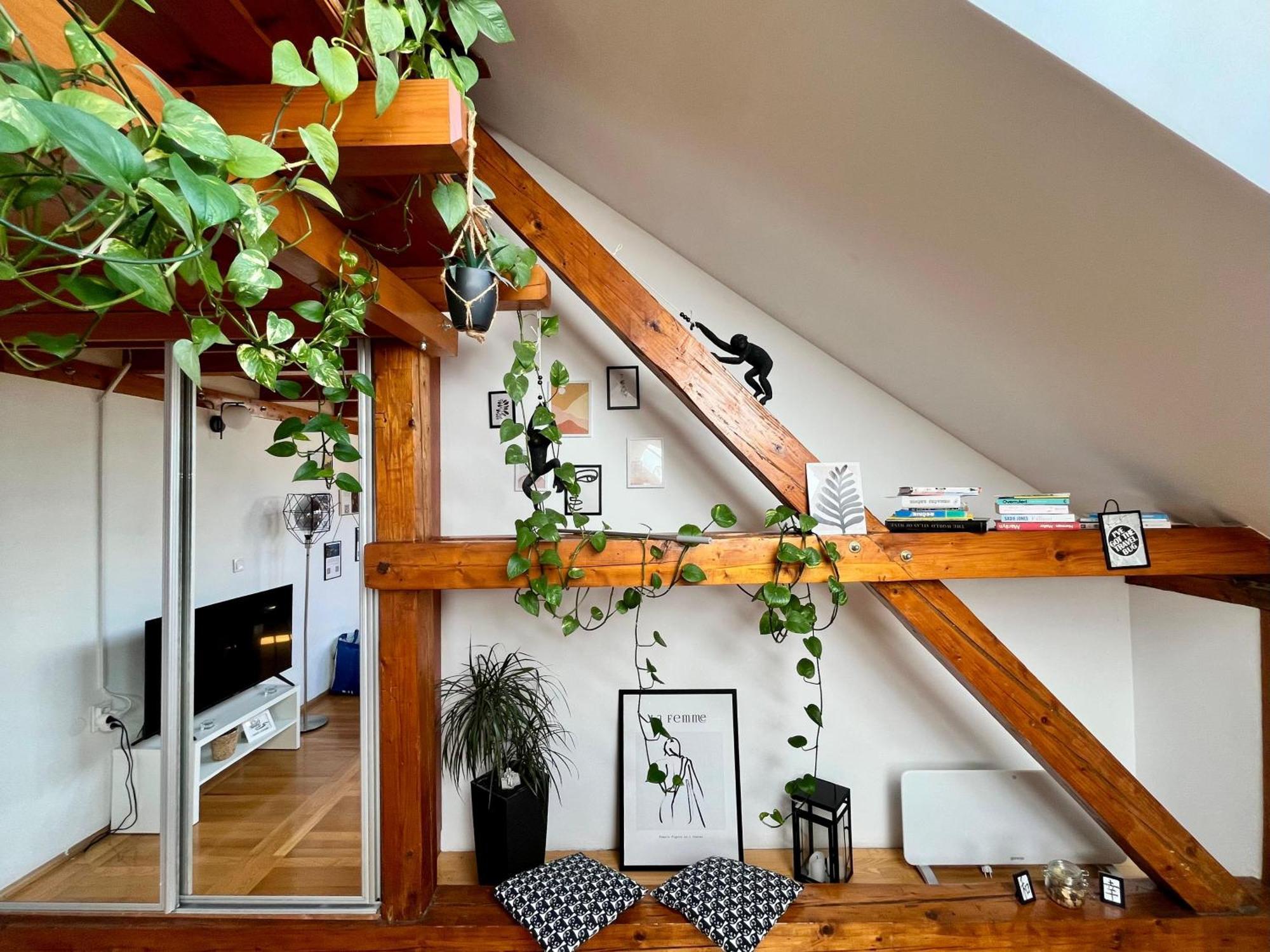Captain Misha'S Place Bělehrad Exteriér fotografie