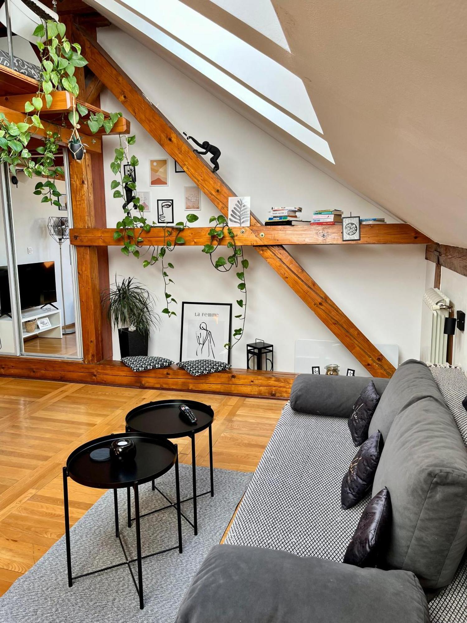 Captain Misha'S Place Bělehrad Exteriér fotografie